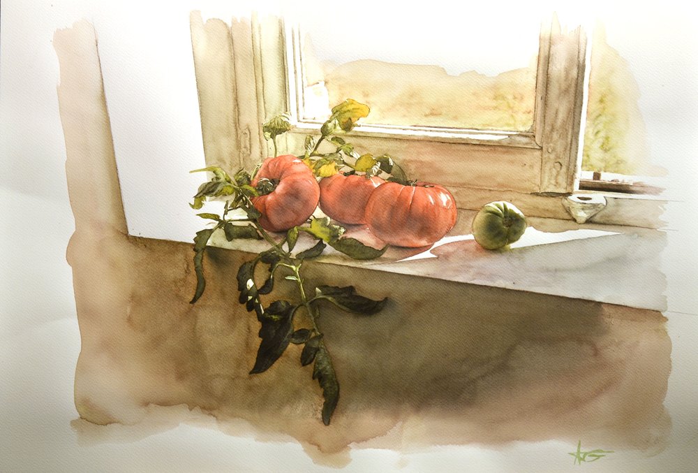 Rustica, aquarelle